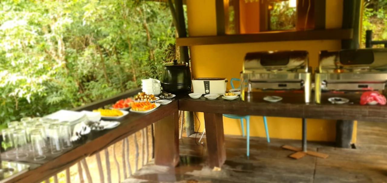 Explore Sinharaja Rain Forest Tour Camp Dombagoda Bagian luar foto