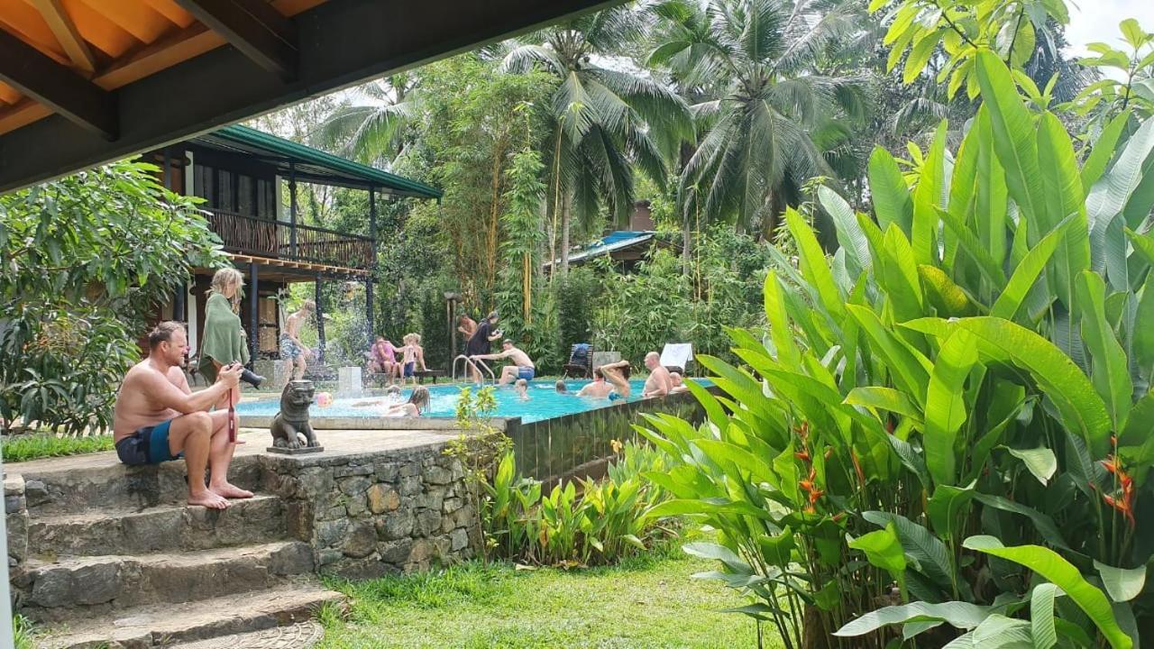 Explore Sinharaja Rain Forest Tour Camp Dombagoda Bagian luar foto