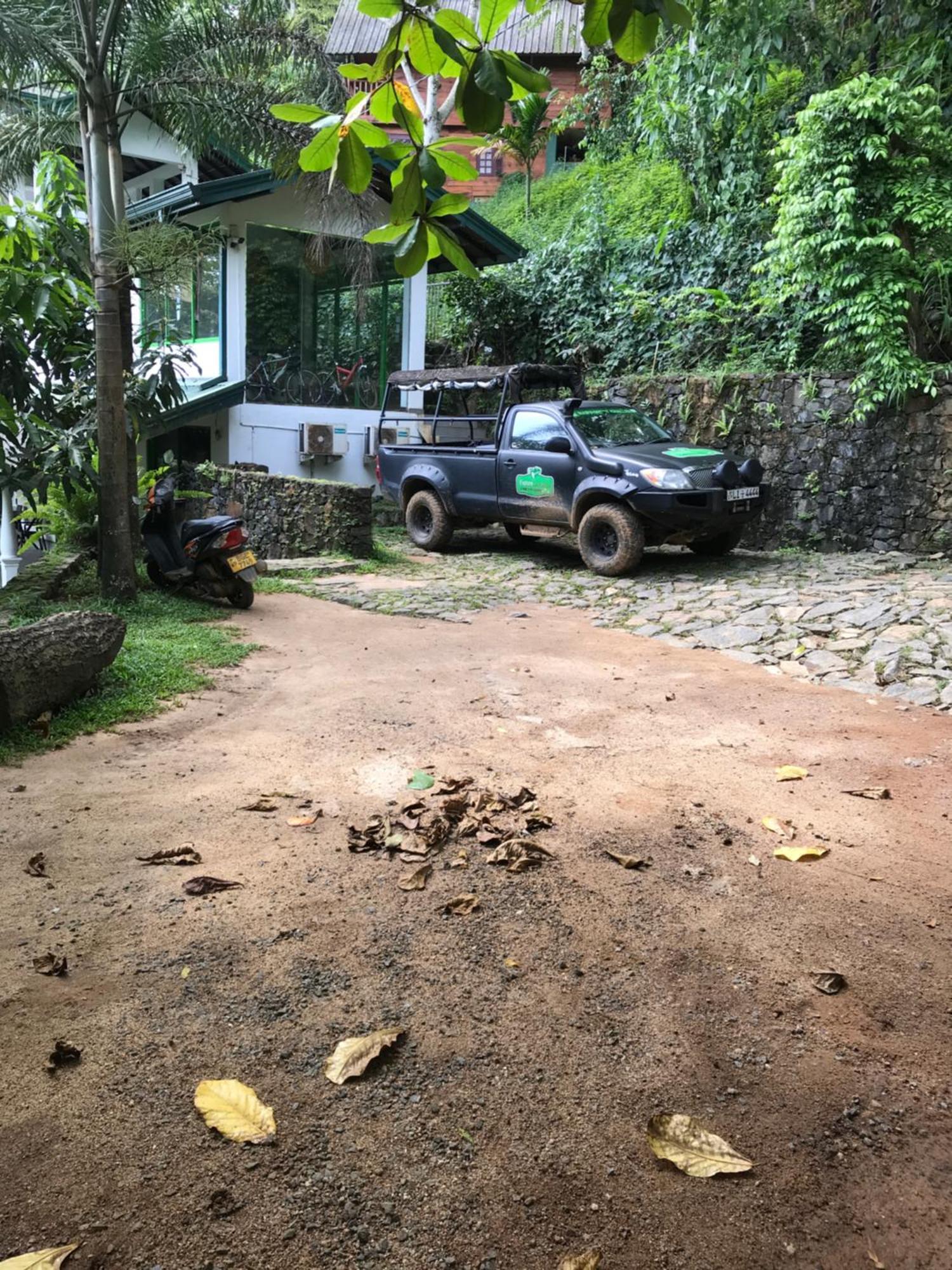 Explore Sinharaja Rain Forest Tour Camp Dombagoda Bagian luar foto