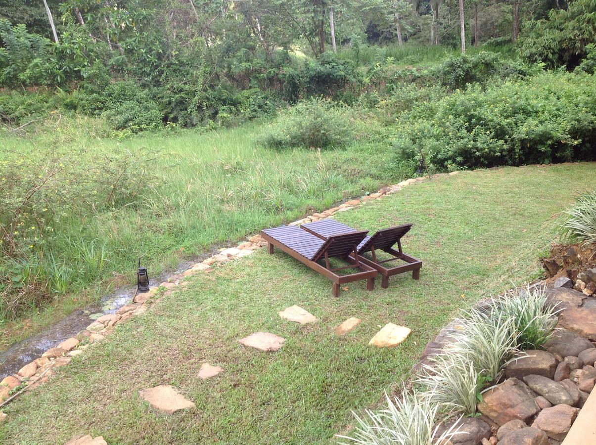 Explore Sinharaja Rain Forest Tour Camp Dombagoda Bagian luar foto