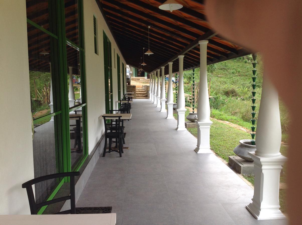 Explore Sinharaja Rain Forest Tour Camp Dombagoda Bagian luar foto