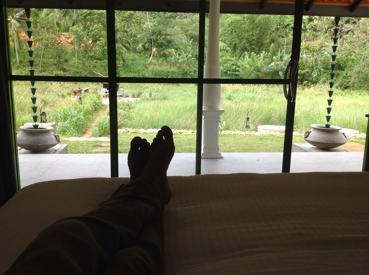 Explore Sinharaja Rain Forest Tour Camp Dombagoda Bagian luar foto