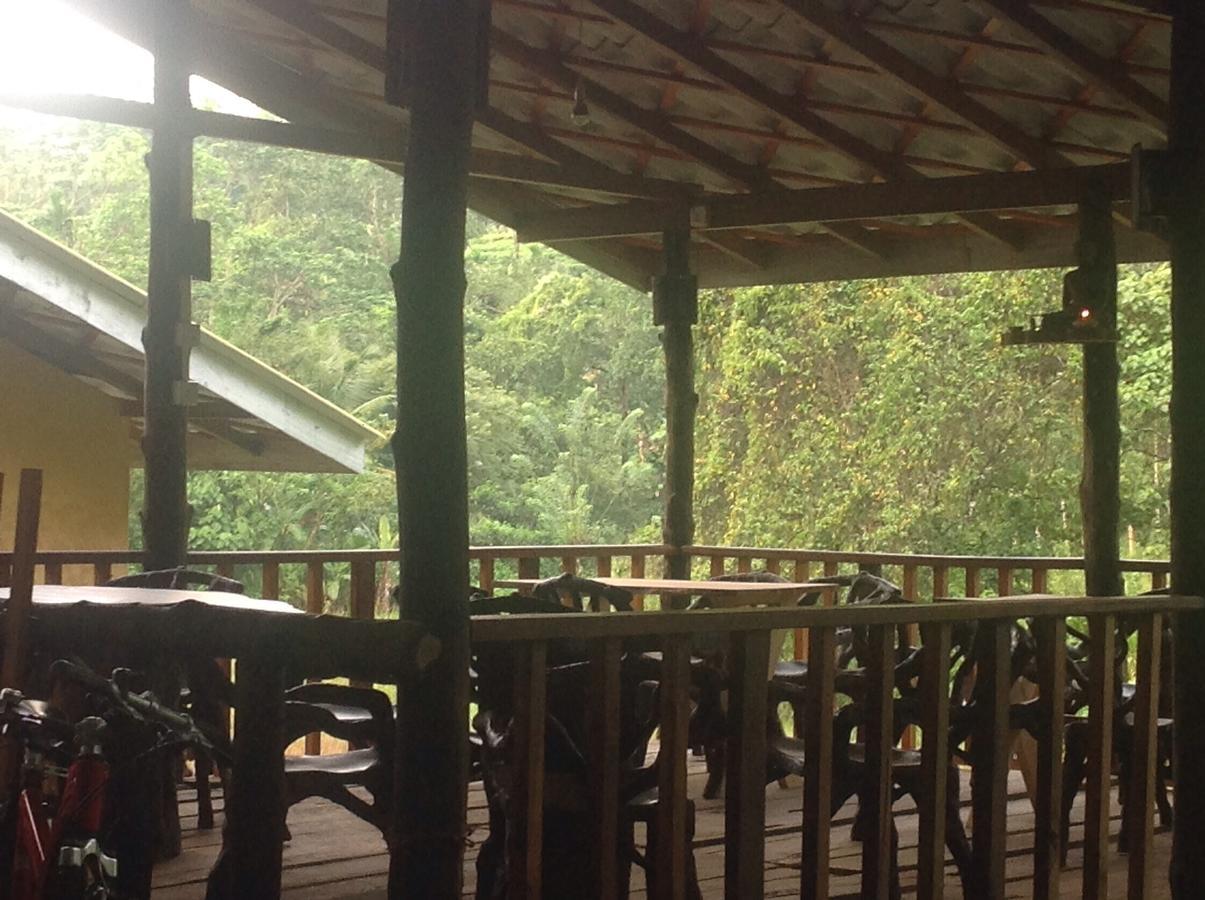 Explore Sinharaja Rain Forest Tour Camp Dombagoda Bagian luar foto