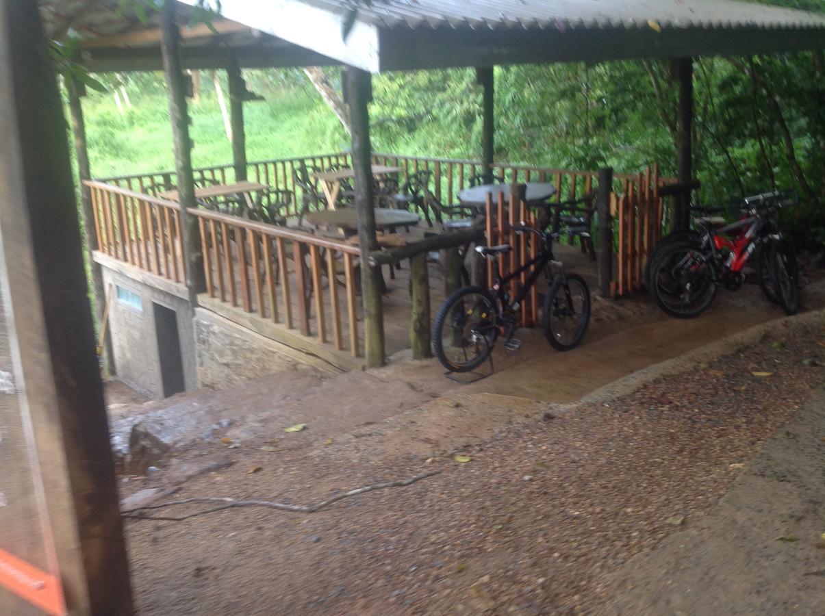 Explore Sinharaja Rain Forest Tour Camp Dombagoda Bagian luar foto