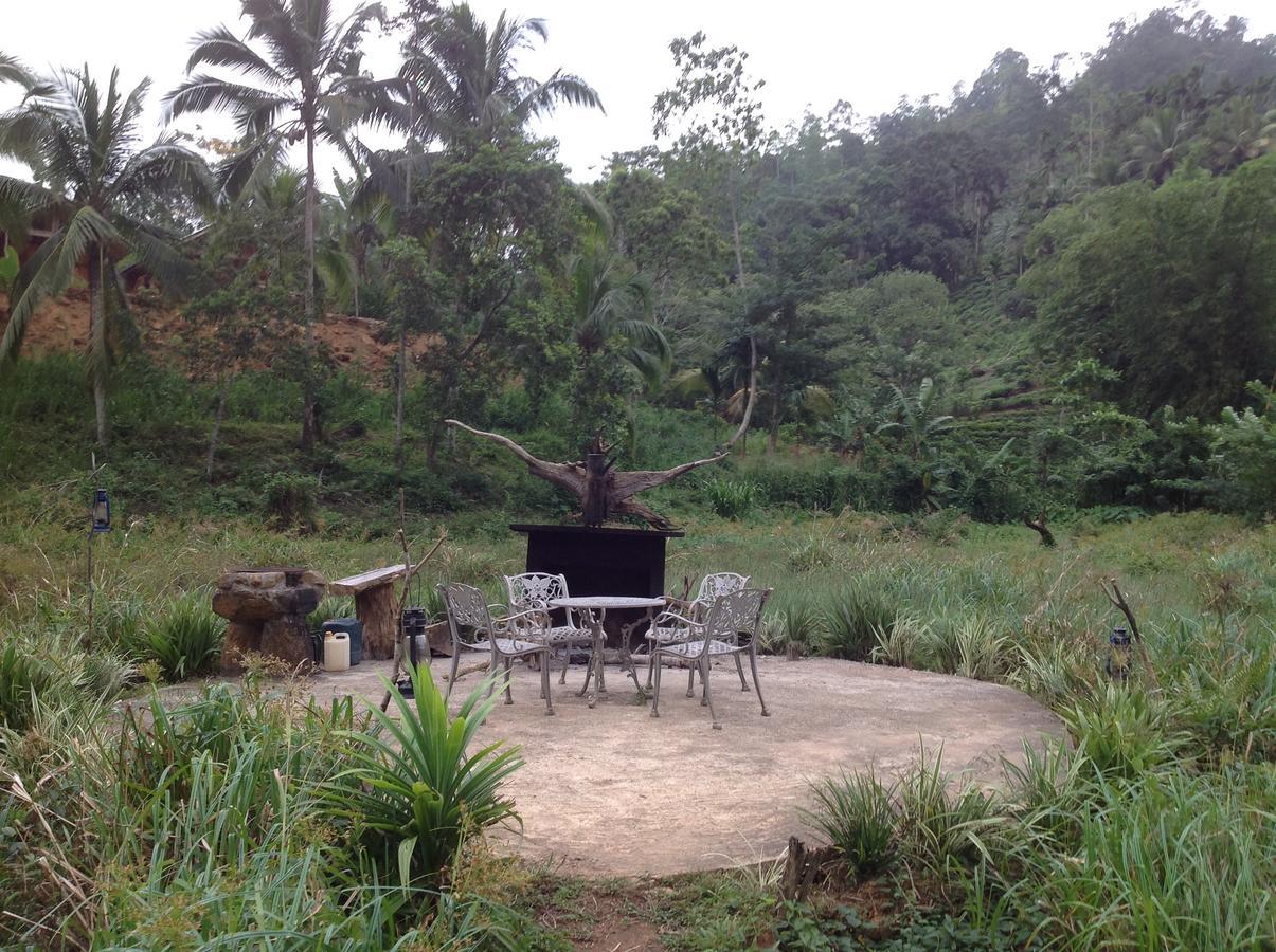 Explore Sinharaja Rain Forest Tour Camp Dombagoda Bagian luar foto
