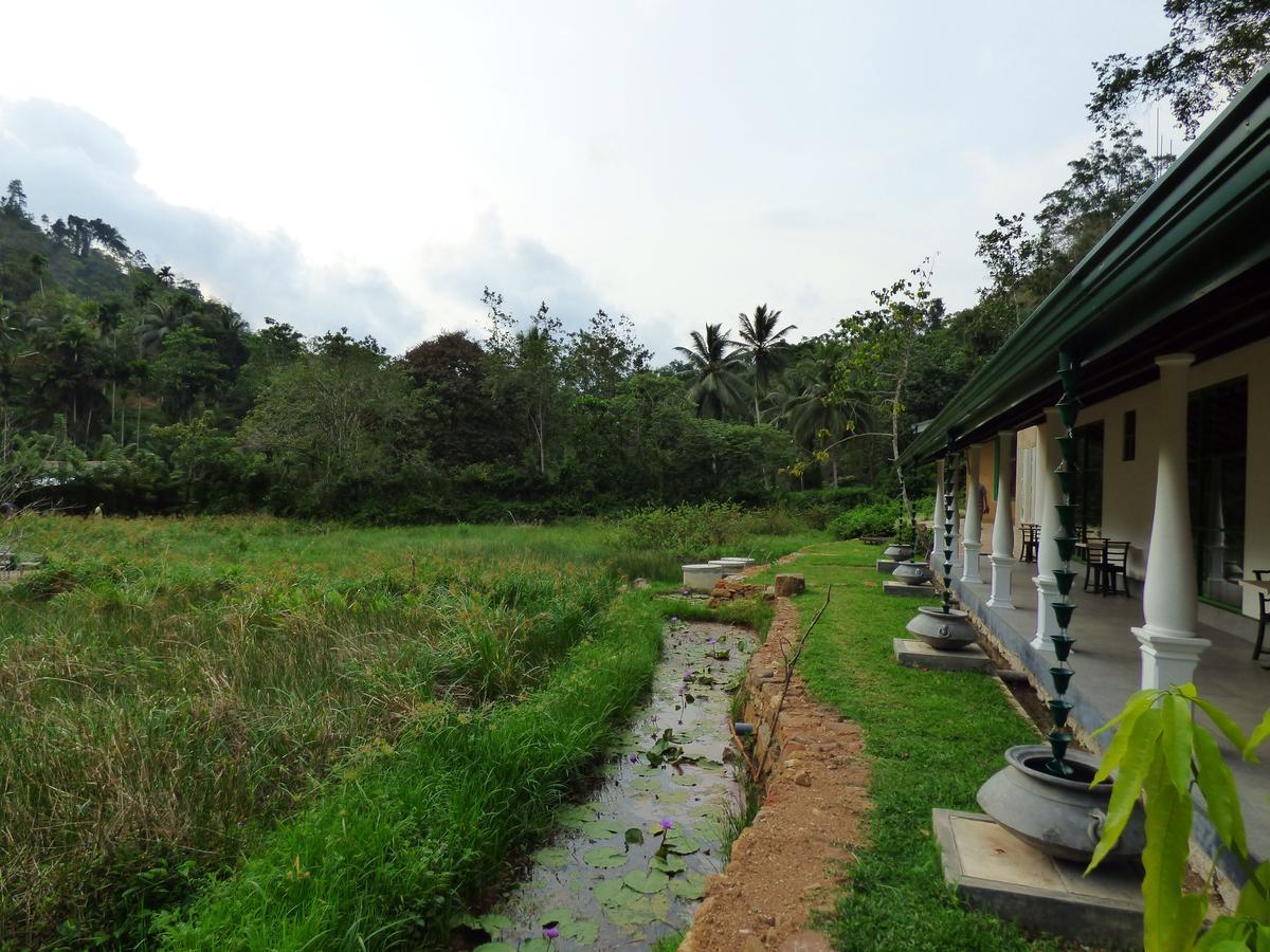 Explore Sinharaja Rain Forest Tour Camp Dombagoda Bagian luar foto