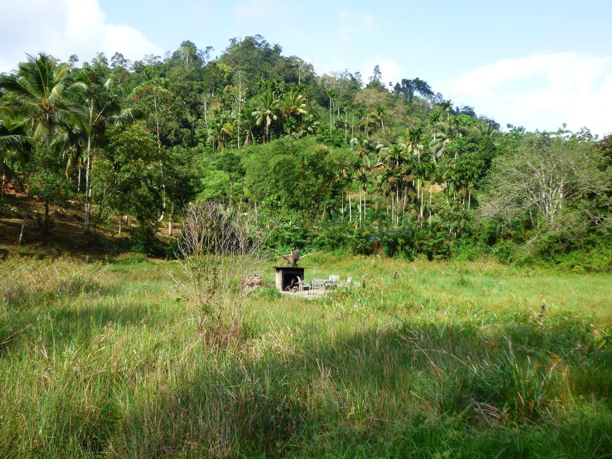 Explore Sinharaja Rain Forest Tour Camp Dombagoda Bagian luar foto