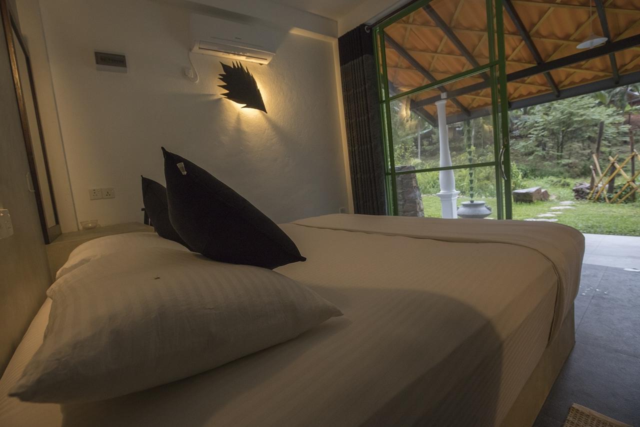 Explore Sinharaja Rain Forest Tour Camp Dombagoda Bagian luar foto