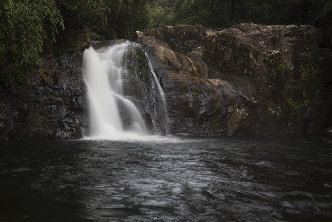 Explore Sinharaja Rain Forest Tour Camp Dombagoda Bagian luar foto