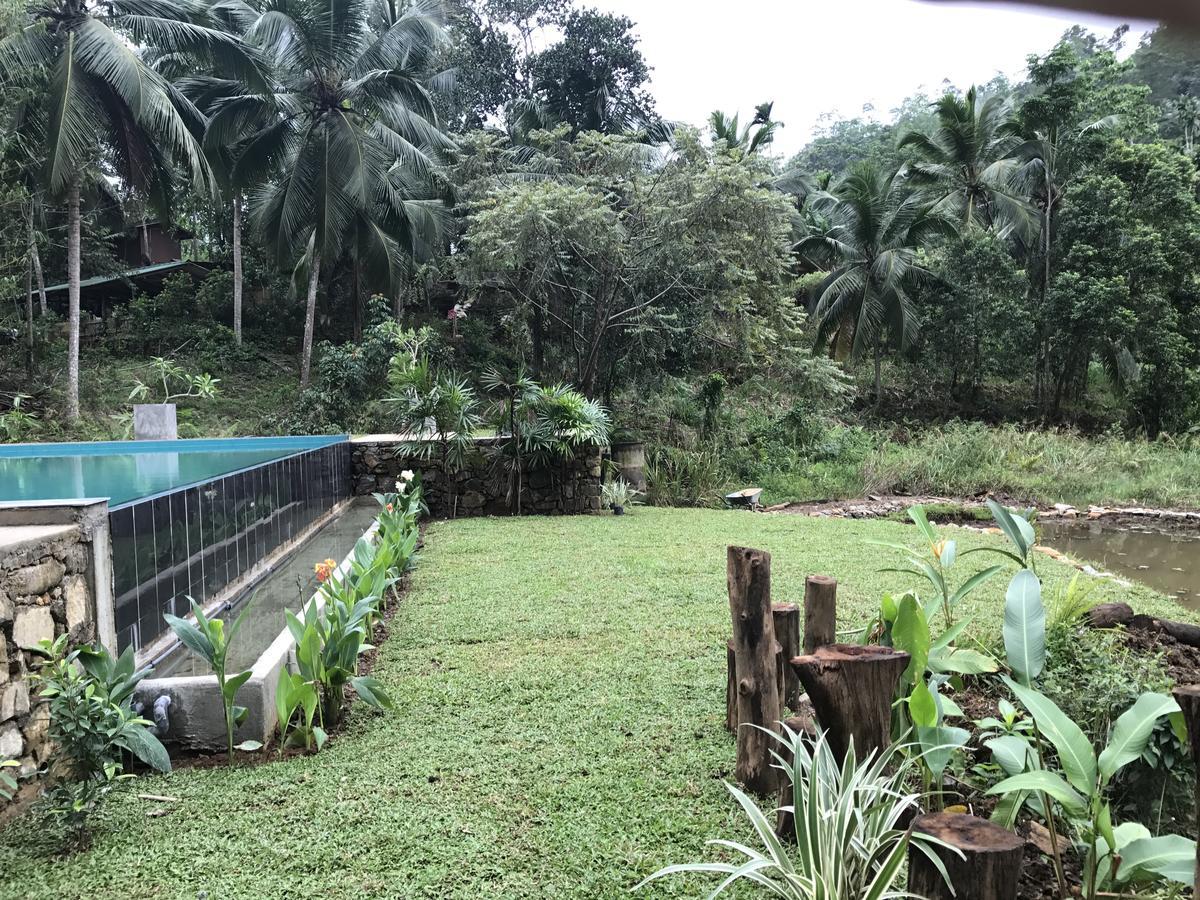 Explore Sinharaja Rain Forest Tour Camp Dombagoda Bagian luar foto