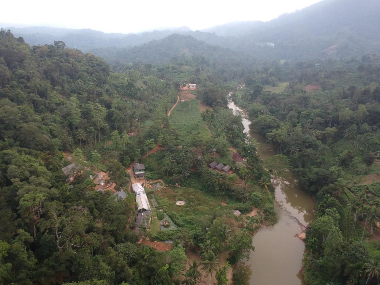 Explore Sinharaja Rain Forest Tour Camp Dombagoda Bagian luar foto